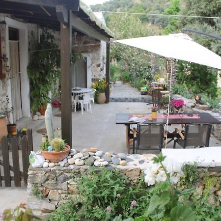 Olga'S Traditional Stone House, Palaiochora Kondokinigi المظهر الخارجي الصورة