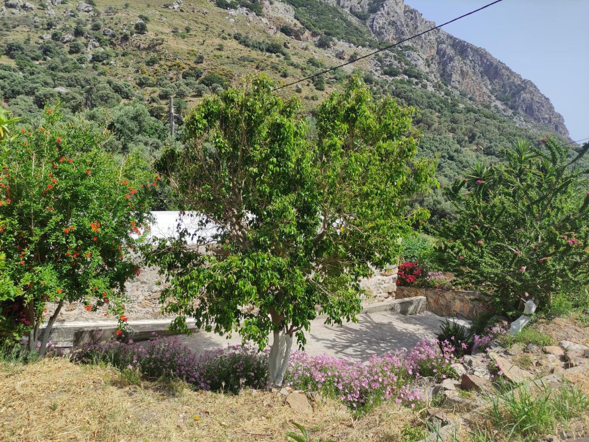 Olga'S Traditional Stone House, Palaiochora Kondokinigi المظهر الخارجي الصورة